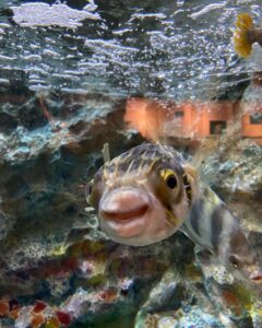 DDB615DD-C638-4679-B281-6E3EE49A7BFC